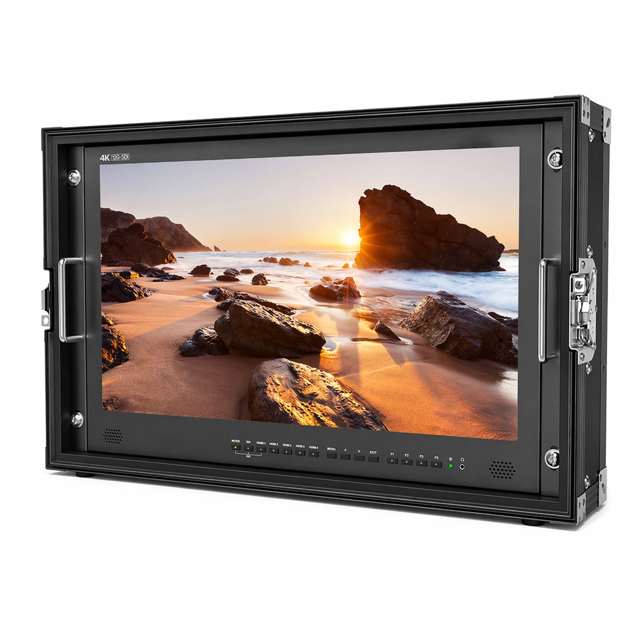 Lilliput BM230-12G Monitor