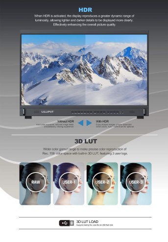 Lilliput BM310-4KS 31 Zoll 4K HDR Fieldmonitor – 31 . 5 Inch Broadcast Director Monitor 21